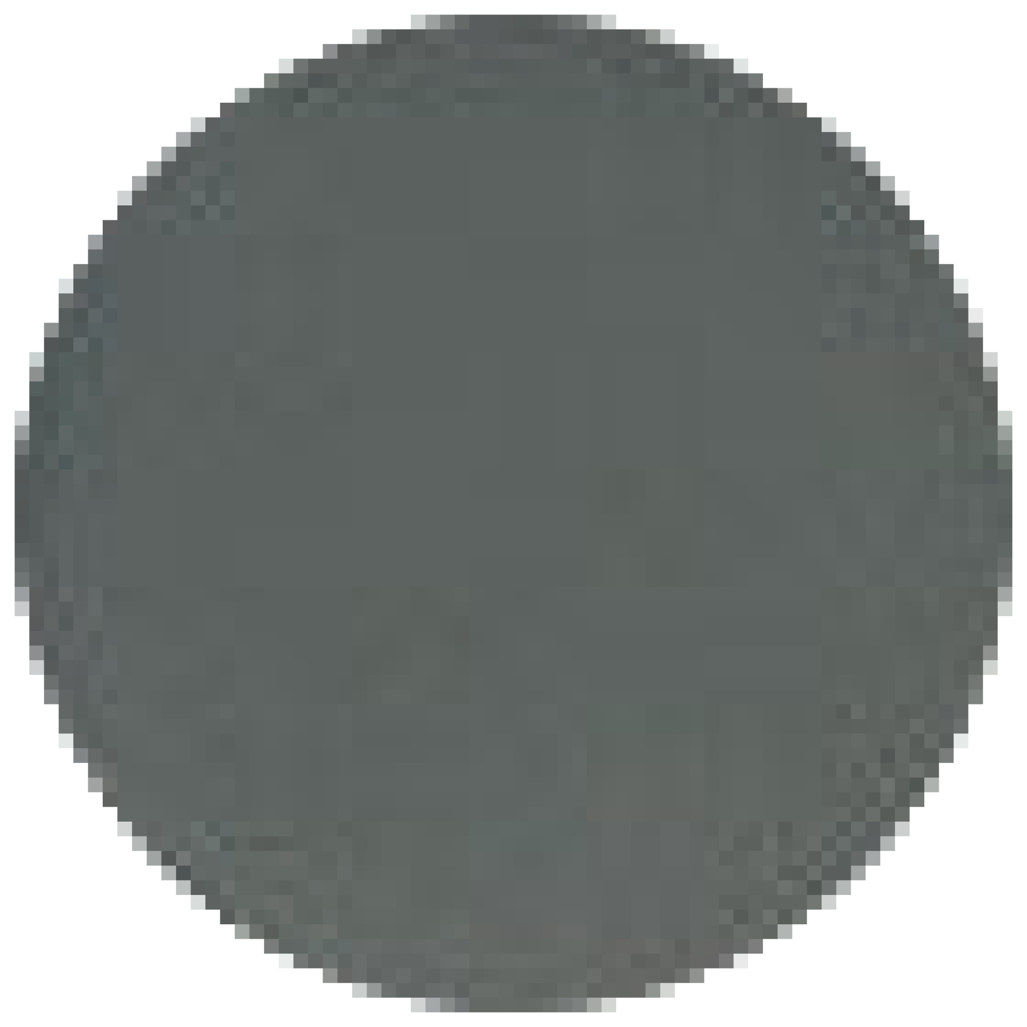 Super-fine sanding discs for WP/E, Ø 50 mm